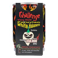 Challenge White Habanero Pepper Plant